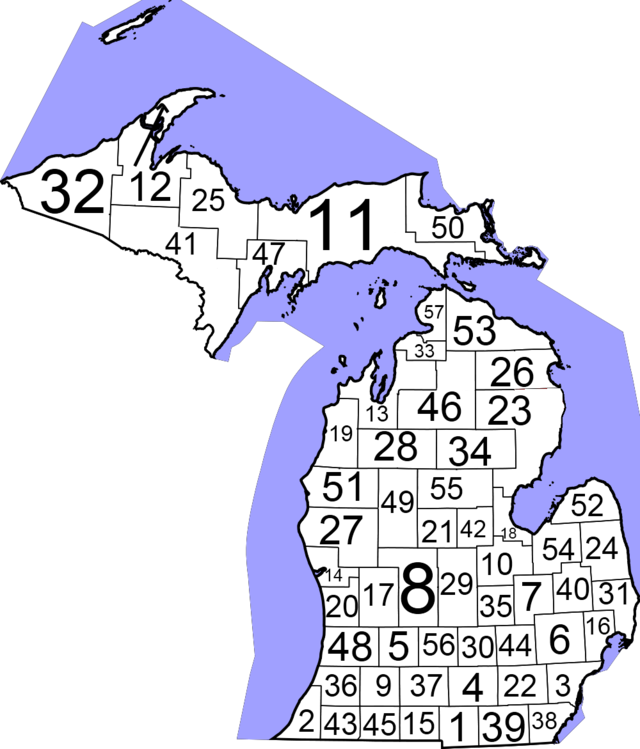 Courts Of Michigan Include - Michigan Circuit Court Districts (640x749)