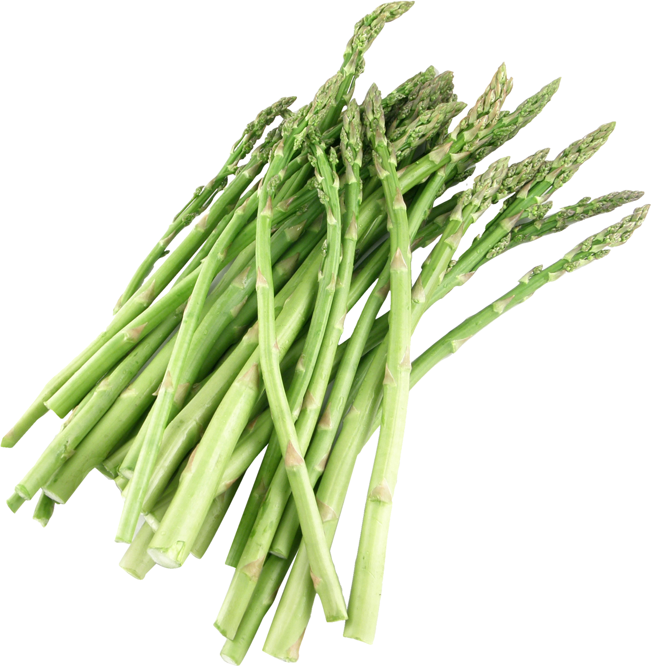 Asparagus Png Image - Asparagus Png (1408x1432)