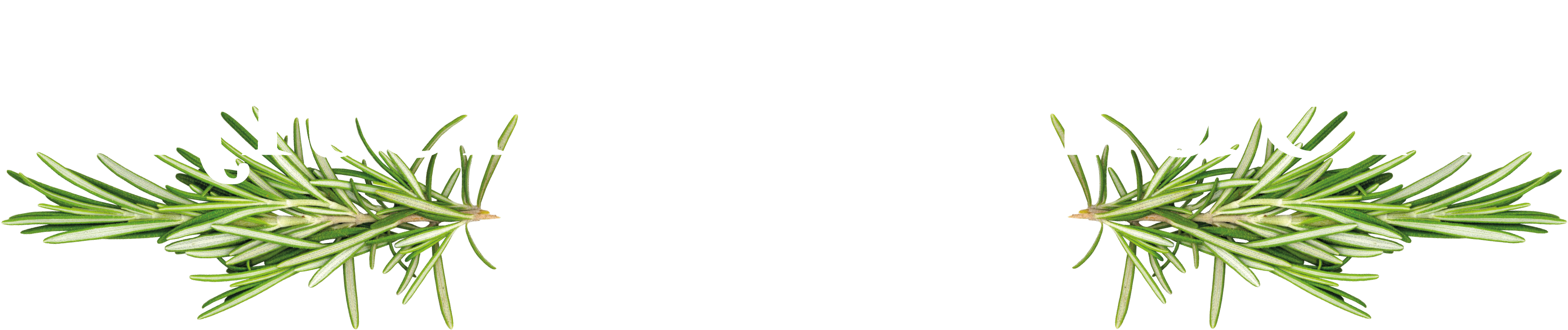 Kitchen Garden Plant Centre Logo Large - Logo (3861x1065)