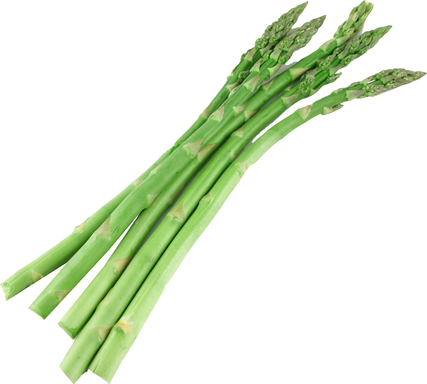 Asparagus Png (1557x1368)