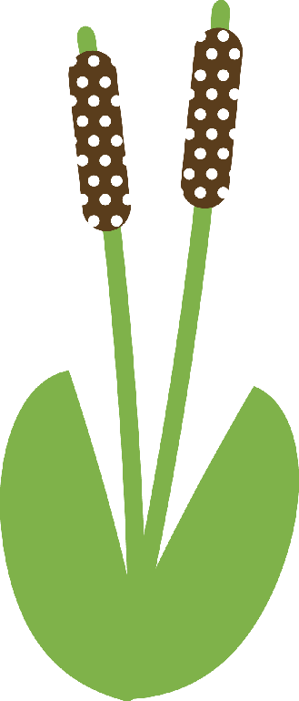 Garden Clipart Church - Church (329x770)