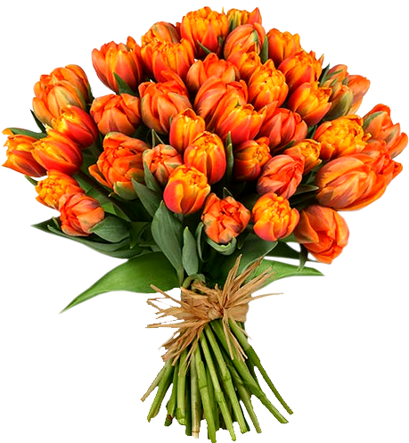 Tulip Bouquet Clip Art Clip Art Library - Orange Flower Bouquet Png (459x497)