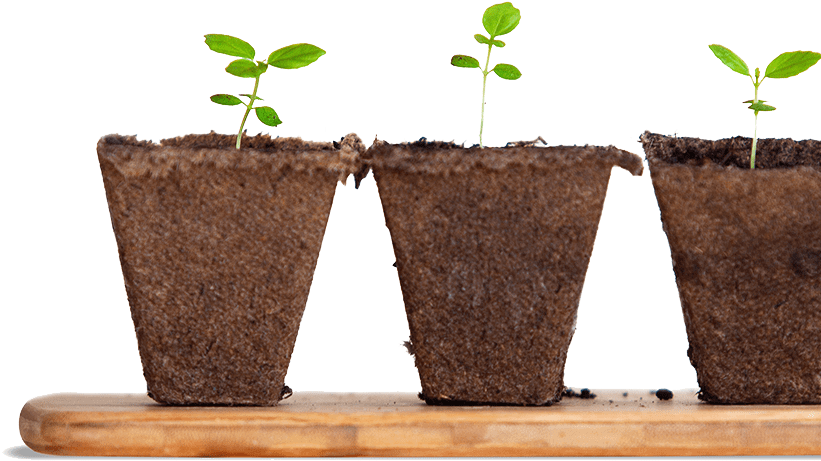 Home Decor - Apollo Horticulture 150 Watt Clamp Lamp Light (838x533)