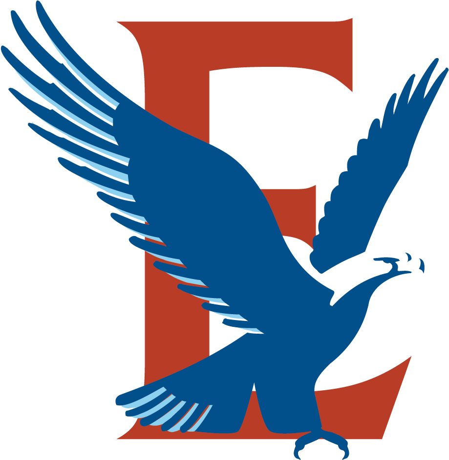 Estock Eagles - Hawk (1000x1000)