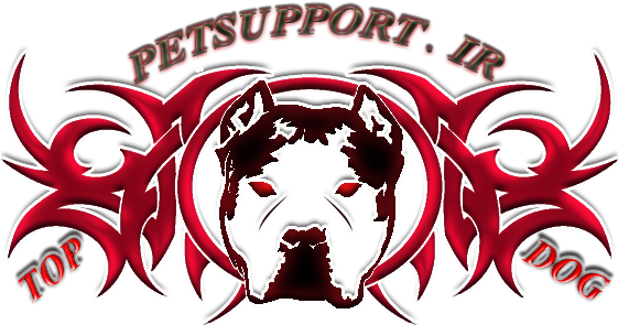 4 Reddark Black Face Border - American Bully (560x311)