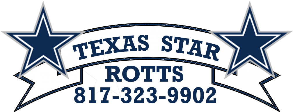 Dallas Cowboys Star (1022x416)