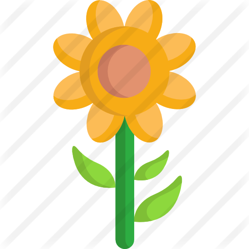 Sunflower - Sunflower (512x512)