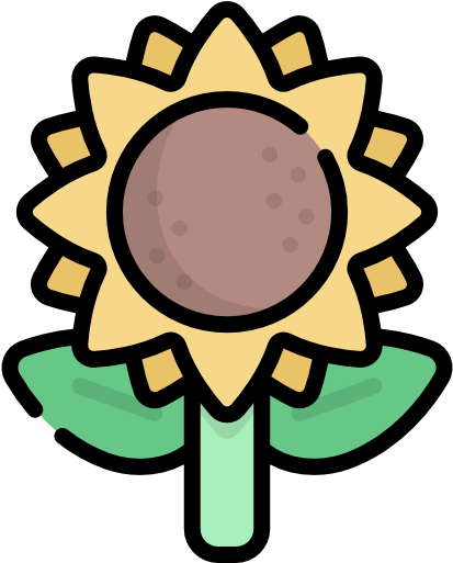 Sunflower Free Icon - Sunflower Line Art (512x512)