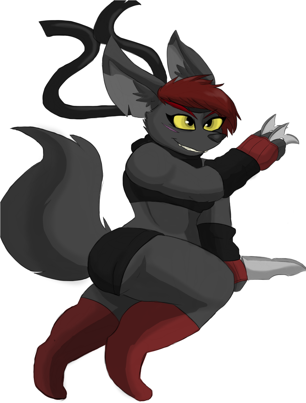 Ninja Fox - Cartoon (1051x1400)