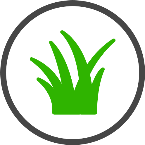 Orlando Lawn Care And Lawn Control Can Be Challenging - Sheridan Fruit Company (590x592)