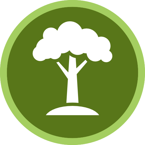 Tree & Shrub Care - Portrait Of A Man (500x497)