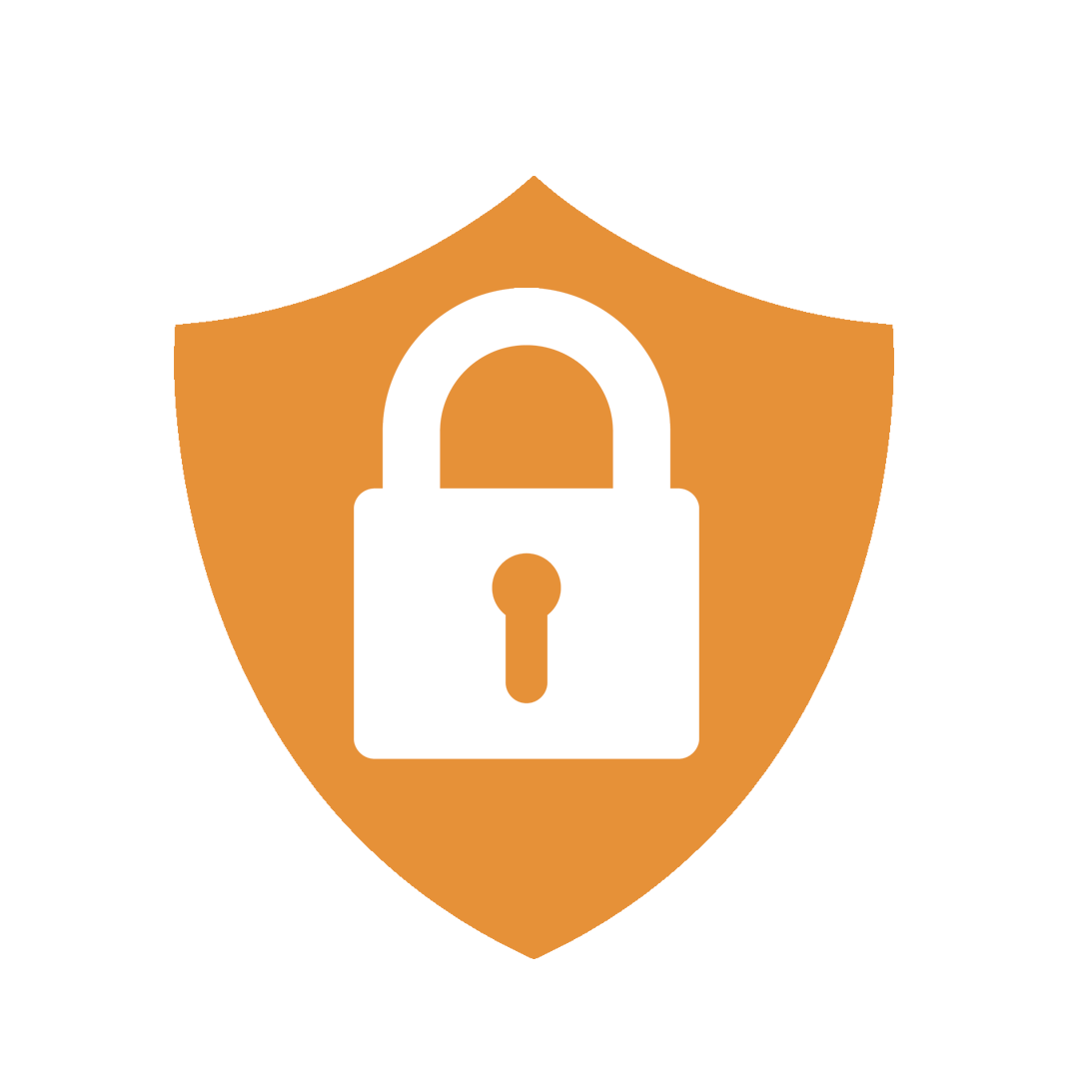 Infrastructure Security Services - Emblem (1150x1146)