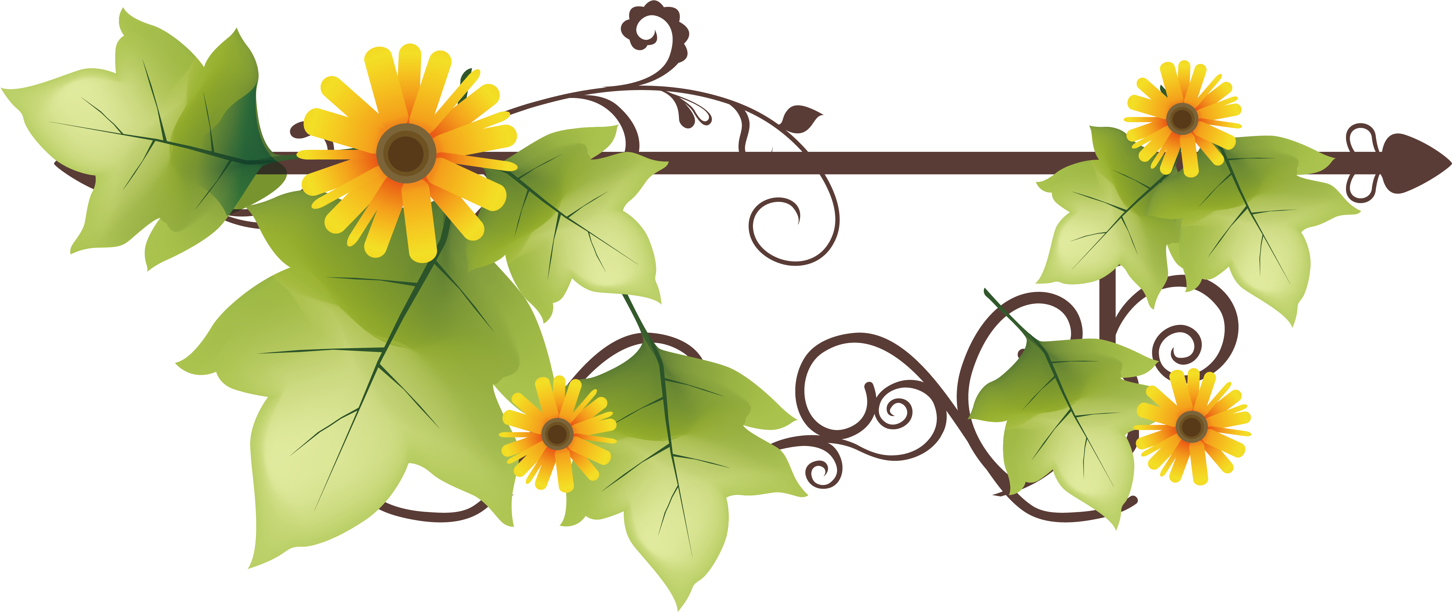 Flower Clip Art - Green Floral Background Png Hd (5631x2801)