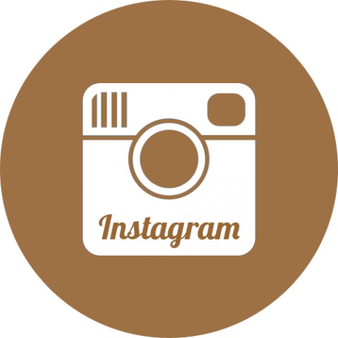 Instagram-circle - - Instagram Circle Logo Vector (480x480)