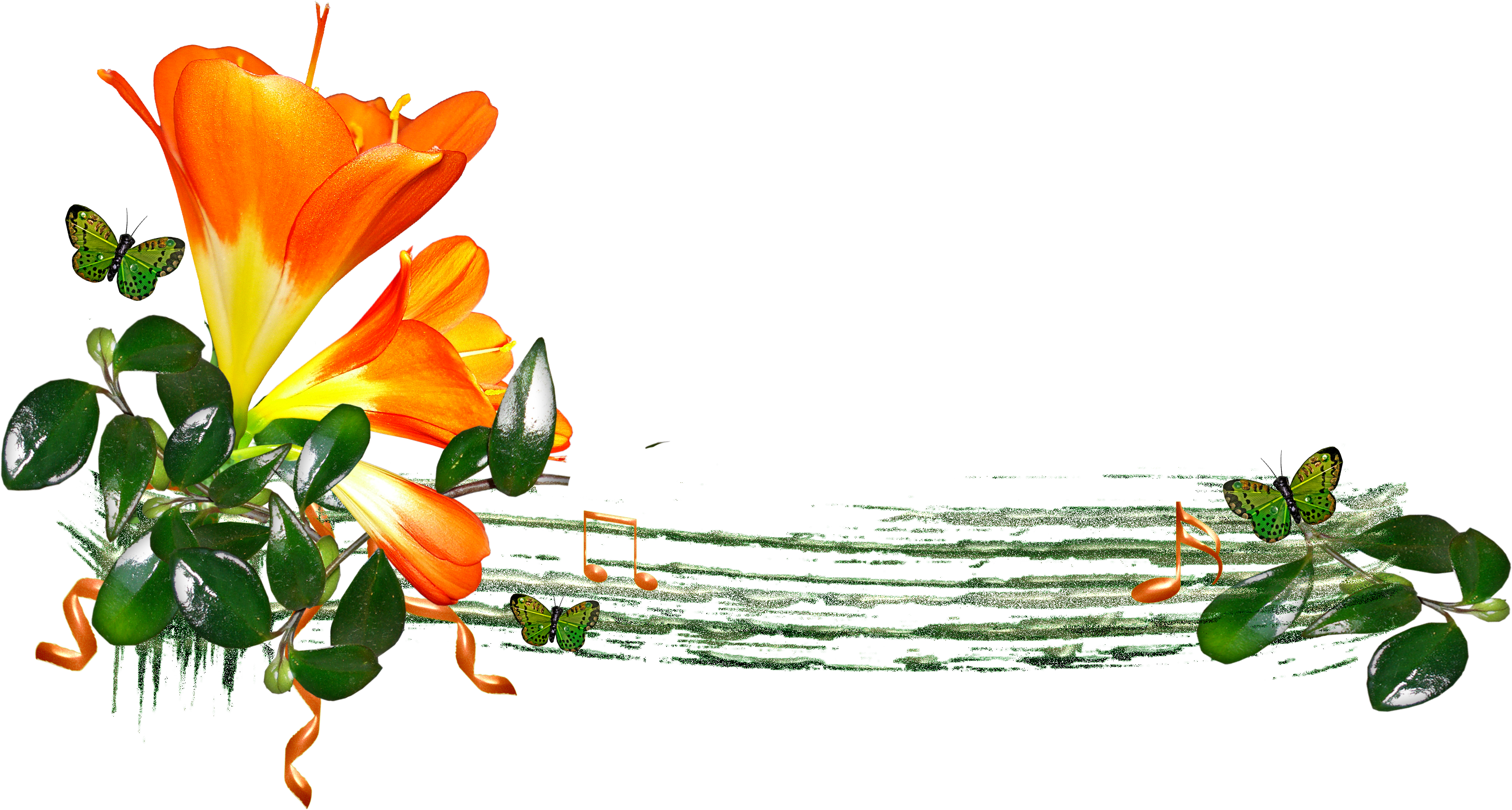 Beautiful Floral Design 3003*1701 Transprent Png Free - Flower (3003x1701)