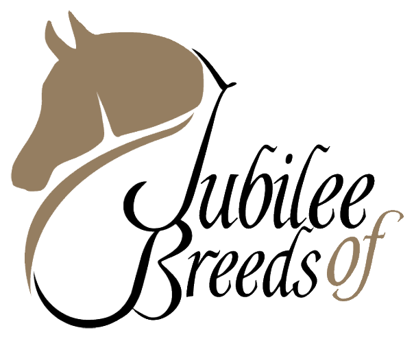 Fly To Freedom Mustafa Samsunlu Astrea Yayınları (652x521)