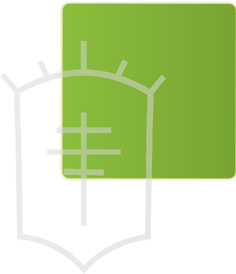 "the Spanish Horse Is, Without Any Doubt, The Most - Andalusia (786x917)