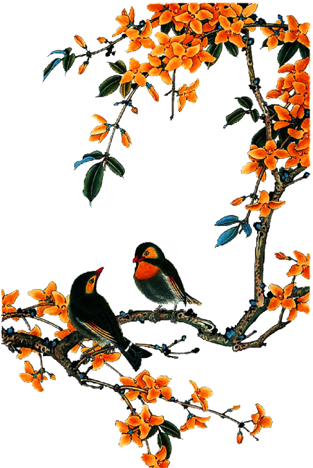 Bird And Flower Painting Chinese Painting China Central - China Bird Tree Painting (700x700)