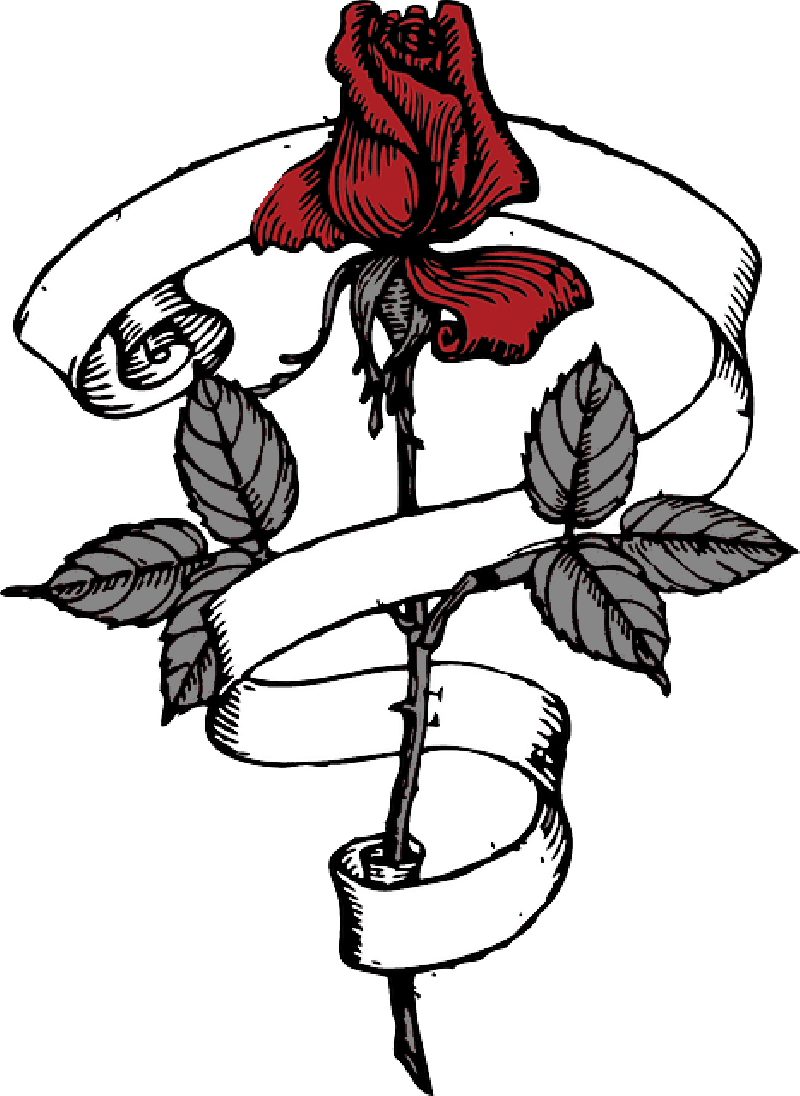 Scroll Tribal Outlinedfdfd Drawing Design Tree Flower - Rose With Ribbon Around (800x1096)