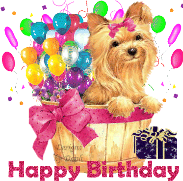 Happy Birthday Surprise - Happy Birthday Images With Yorkie (375x375)