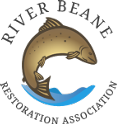 River Beane - Pull Fish Out Of Water (400x400)