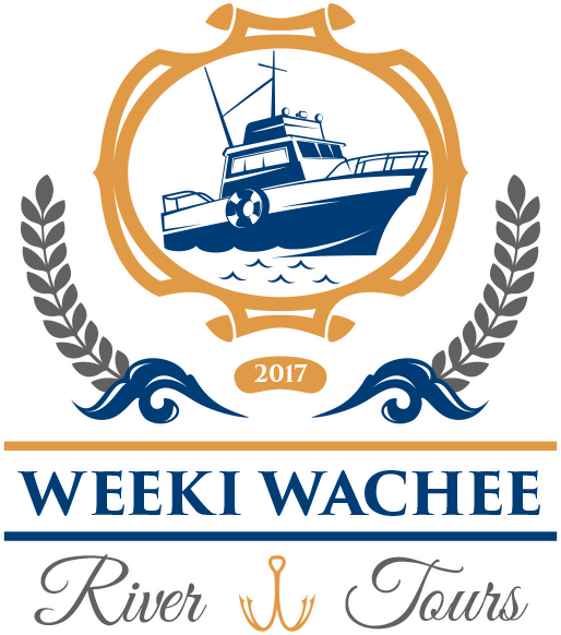 See Various Species Of Birds, Fish, Wildlife, And Manatee - Logo (514x582)