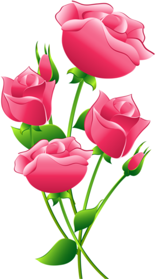 Flores Rosa Cor De Rosa 6 Png - Clip Art Pink Rose (528x922)