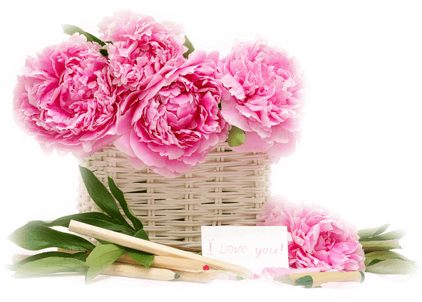 Os Mais Lindos Arranjos De Flores Você Encontra Aqui - Beautiful Flower Good Night Friends (600x450)