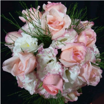 Disponível 10 Itens - Rose (600x600)