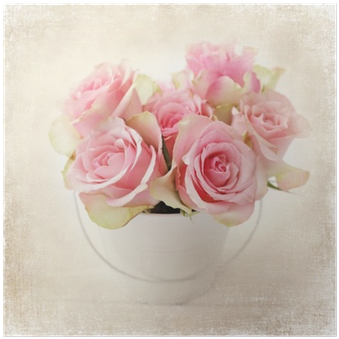 Rosas Cor De Rosa Em Um Vaso • Pixers® - Rose (400x400)