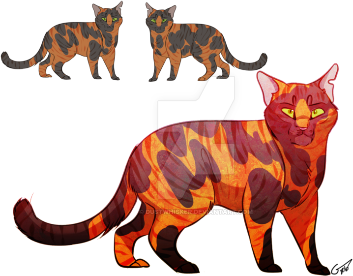 Tortie Tabby Cat Design - Tortoiseshell Cat (800x582)