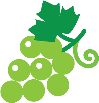 Green Grapes - Fruit (360x361)