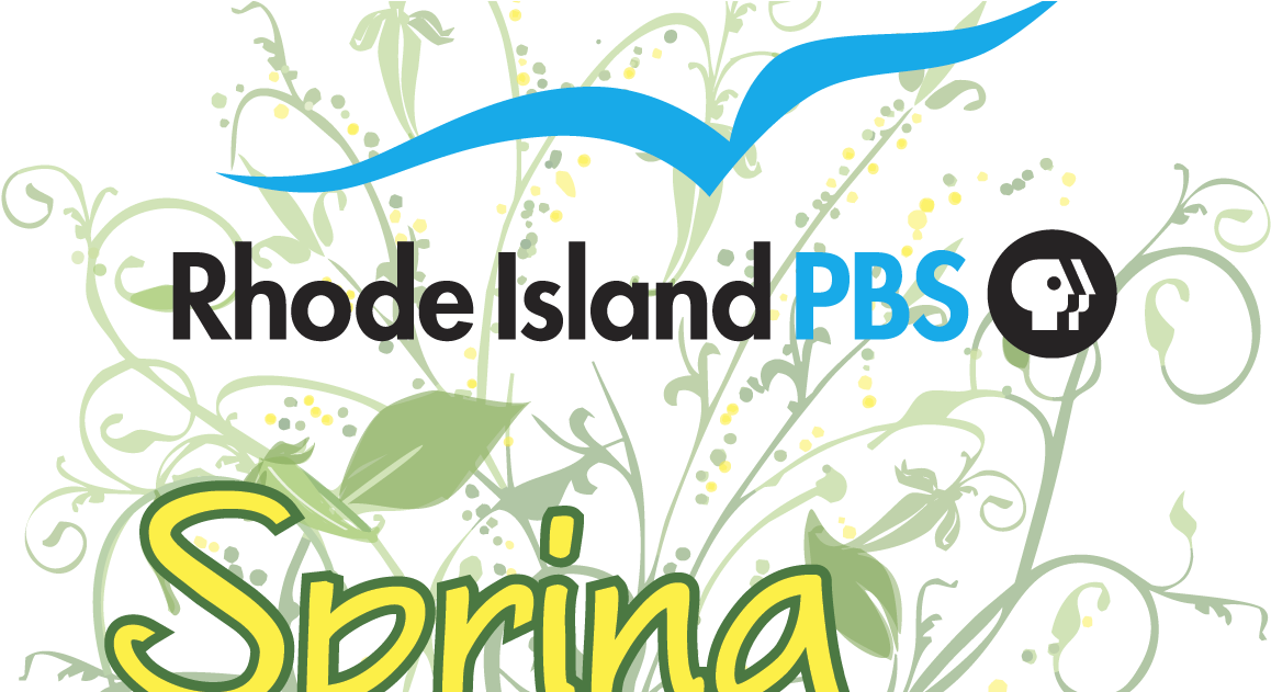 Bird On The Wire - Pbs (1200x630)