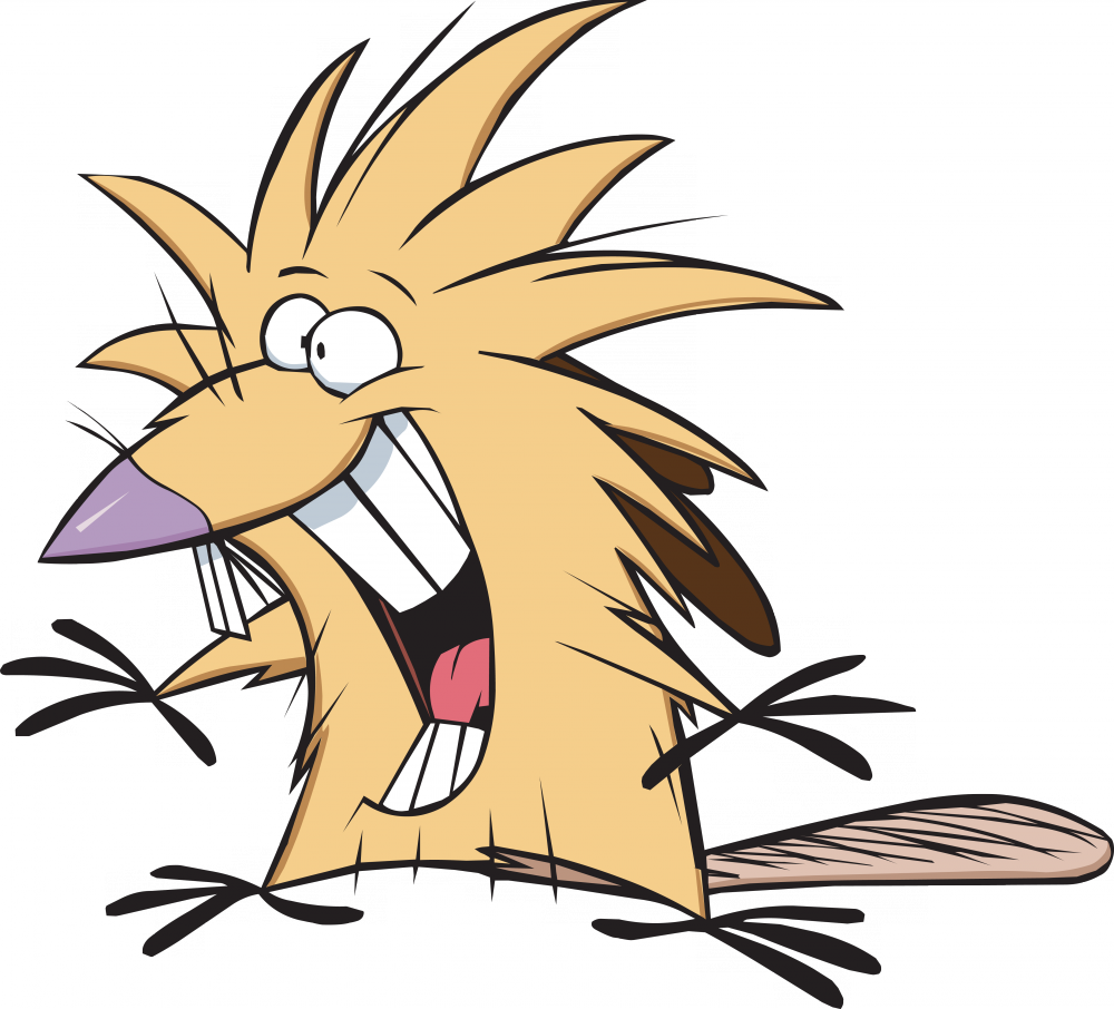 Tumblr Ot7q0hozff1tr6wqbo4 1280 - Angry Beavers Cartoon (1000x906)