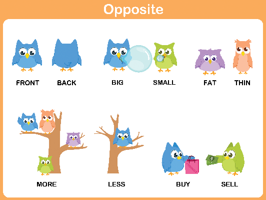Word For Preschool Opposite - Word For Preschool Opposite (532x399)