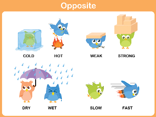 Word For Preschool - Opposite Clipart (532x399)