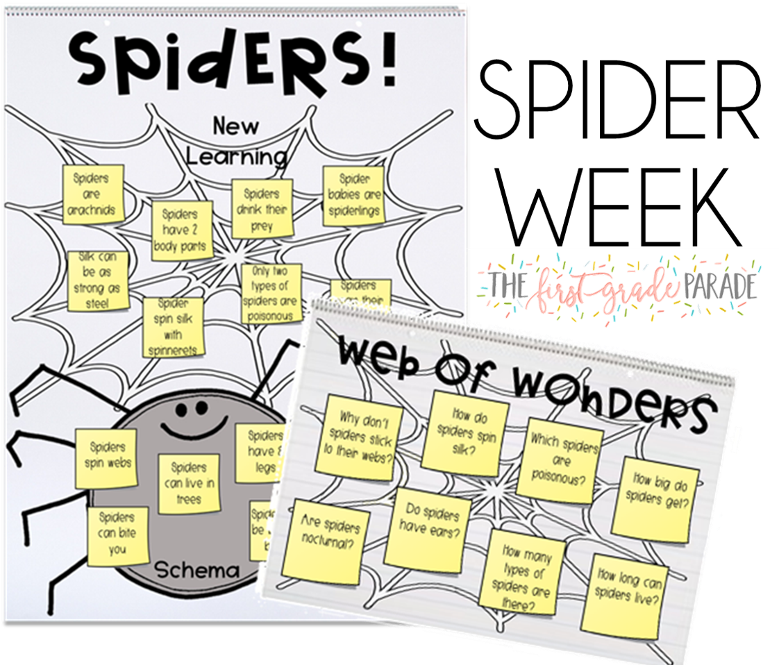 Retired Site Pbs Programs Pbs - Military Rank (1123x971)