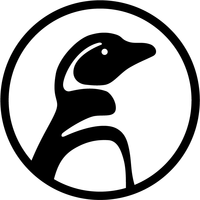 Uw Professor's Study Links Food Scarcity To Orcas' - Circle (903x975)