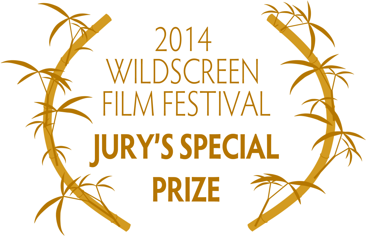 Your Inner Fish Pbs - Movie Award No Background (1200x782)