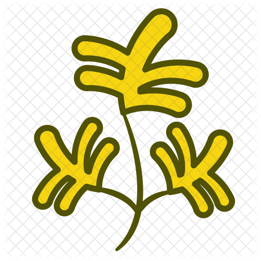 Parsley Icon - Food (512x512)