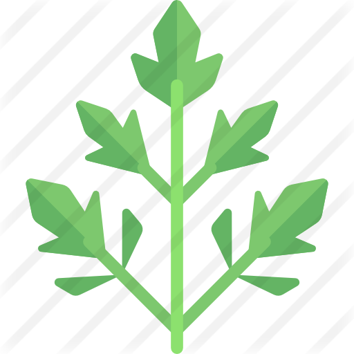 Parsley - Icono Perejil Png (512x512)
