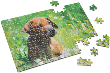 M Pbs Pg Puzzle 1 - Gift (432x321)