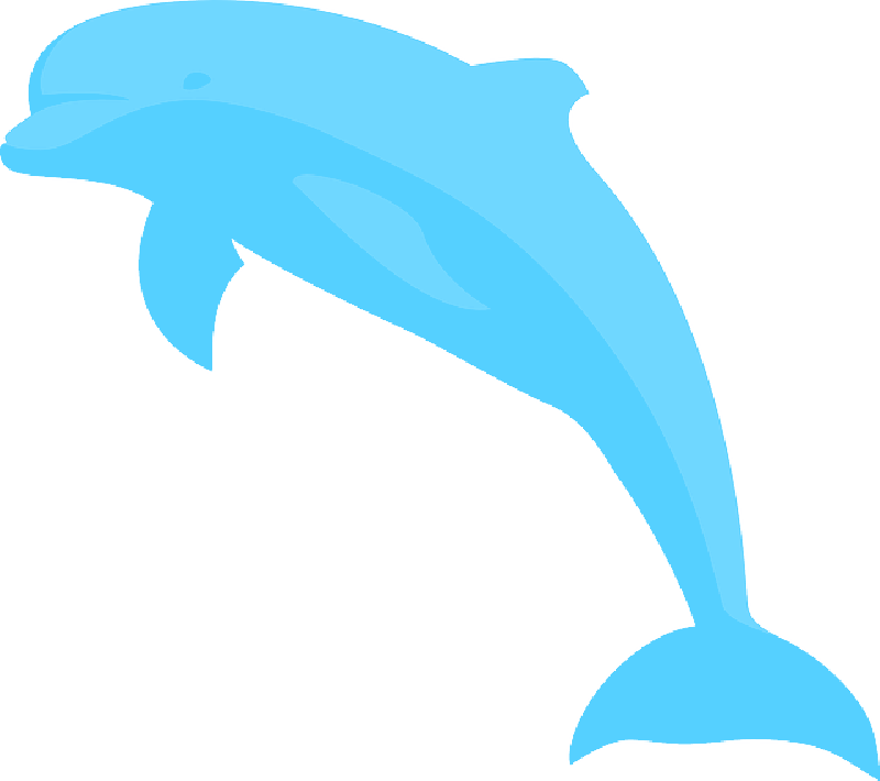 Ocean - Blue Dolphin Drawing (800x710)