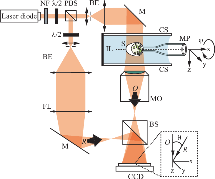 Holographic Microscope For Transmission Imaging - Diagram (731x611)