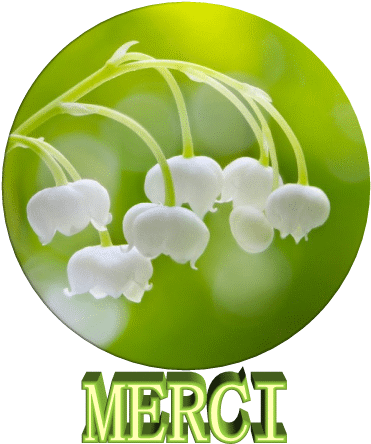 Lily Of The Valley (550x550)