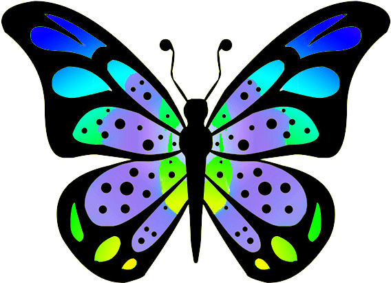 Butterfly Drawing (591x492)