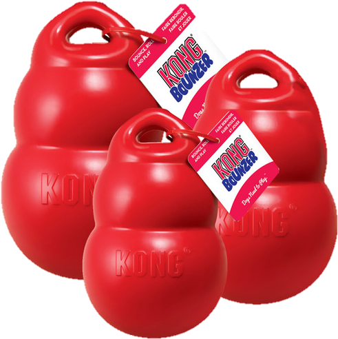 Kong Bounzer - Kong Bounzer Dog Medium (500x500)