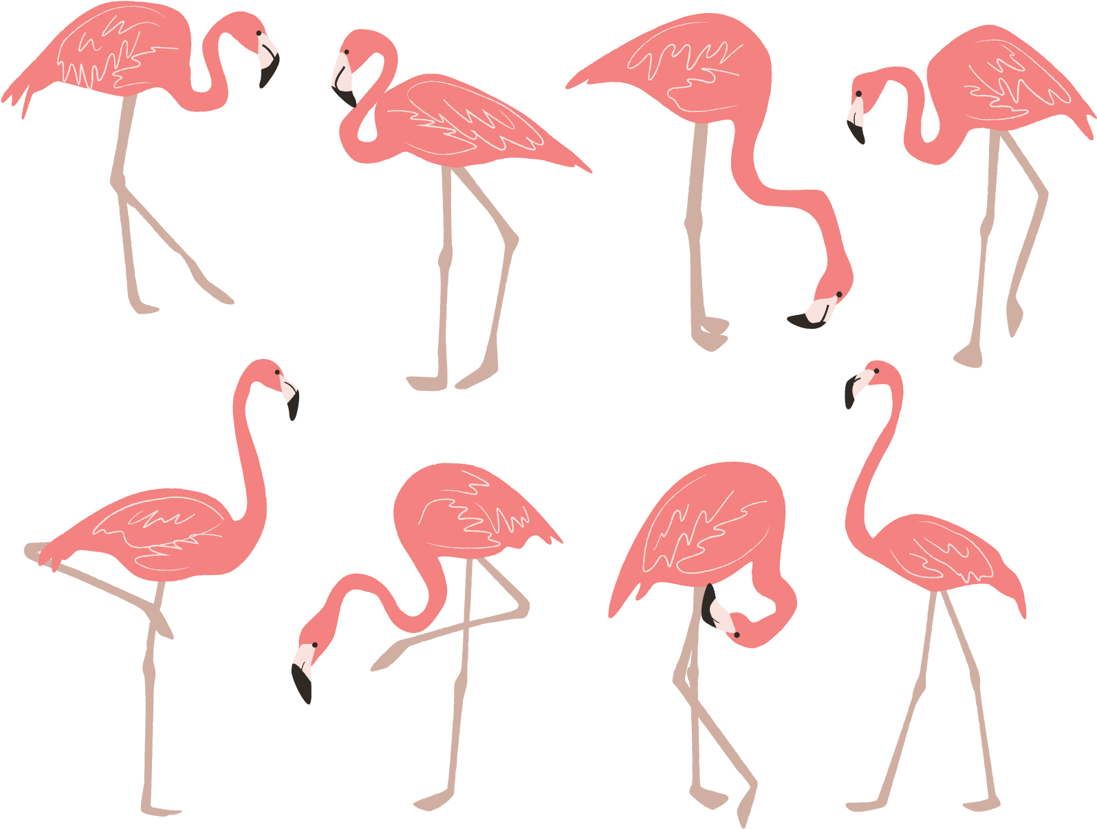 Flamingo Drawing Clip Art - Anniversary Years Personalized Throw Blanket (1667x1667)