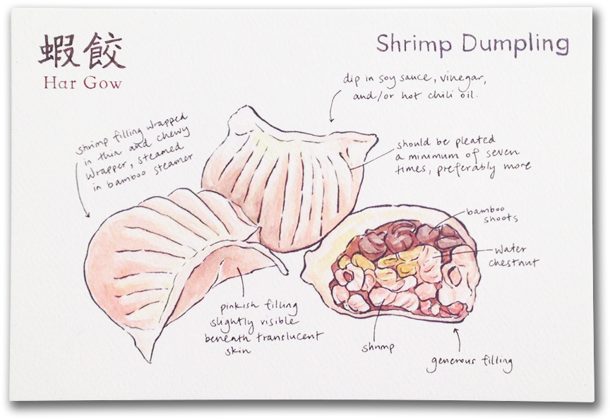 Drawing Of The Dim Sum Style Shrimp Dumplings - Dim Sum (1000x737)