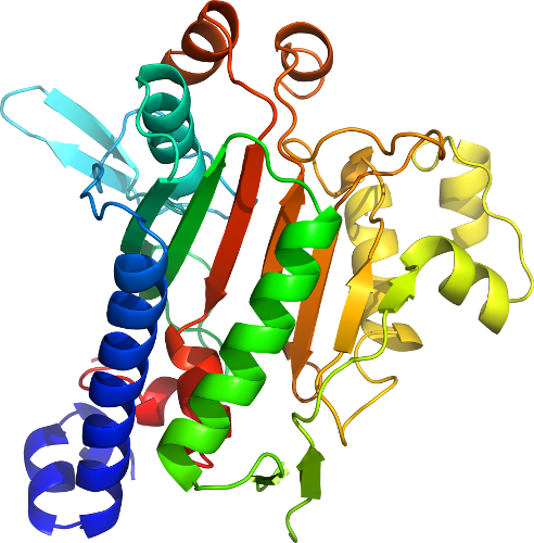 View In 3d - Domain Name (492x500)